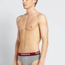 van heusen innerwear Van Heusen Men Pack of 2 Solid Plush Back Ultra Soft Briefs image 4