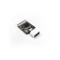 Sipeed Lichee Nano Linux Development Board 16M Flash Version image 1