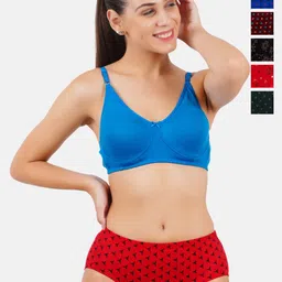 Ramraj Pack Of 6 Assorted Basic Briefs WomensPantiesOVPrR-picture-10