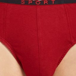 van heusen innerwear Van Heusen Men Pack of 2 Plush Back Elastic Waistband Ultra Soft Briefs IHEBR2VSC770001 image 3