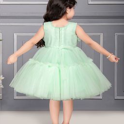 Ministitch Net Fit & Flare Dress image 5