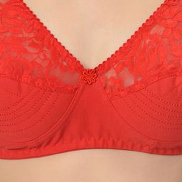 mod & shy Assorted Pack of 3 Non-Wired Non Padded Everyday Bra MS505254 image 4