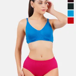 Ramraj Pack Of 6 Assorted Basic Briefs WomensPantiesFUPLR-picture-13
