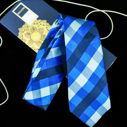 PELUCHE Men Blue Checked Broad Tie-image-76