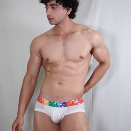 PANTEAZY Men Mid Rise Rainbow Waistband Basic Briefs GYACL-AQ-SM24-M-W-29