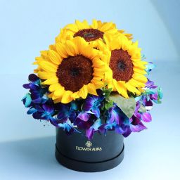A Medley Of Sunlit N Midnight Blooms-image-88