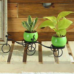 Double Air Purifiers-image-37