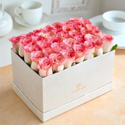 Hypnotic Box of Beauty-image-17
