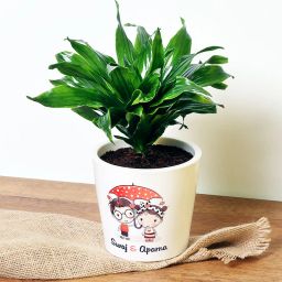 Personalised Couple Dracaena-image-56