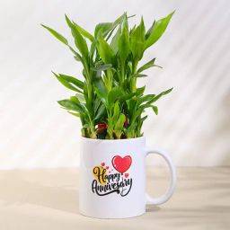 Lucky Bamboo In Cute Anniversary Mug-image-51