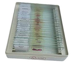 AIM Histology Slides -Set of 25 image 1