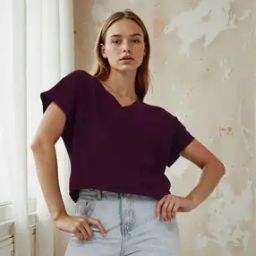 Shein Short Length Extended Sleeve Swiss Dot Relaxed Fit Top-image-74
