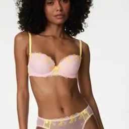 Women Embroidered Lightly Padded T-Shirt Bra-image-1