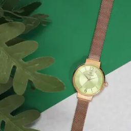 Mint Green Dial Analogue Fashion Watch with Mesh Strap for Women-4