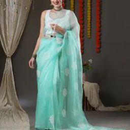 Embroidered Saree with Contrast Border-picture-40