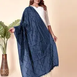 Women Embellished Dupatta with Fringe Hem-image-79