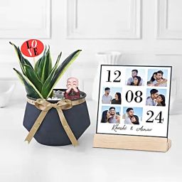 Sanseveria Plant N Personalised Cover-image-16