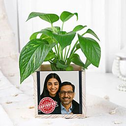 Money Plant N Desk Organiser Duo for Father-image-14