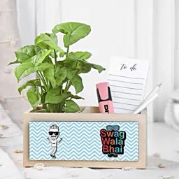 Syngonium Plant Surprise For Bro-28