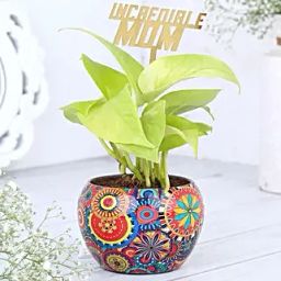 Money Plant Love For Mom-image-55