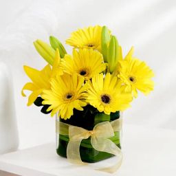 Cheerful Optimism-image-20