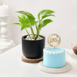 Happy Birthday Blooming Celebration Combo-picture-34