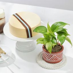 Sweet Goodness Gift Combo-image-89