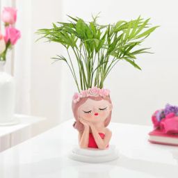 Women's Day Chamaedorea Plant With Beauty Planter-image-49