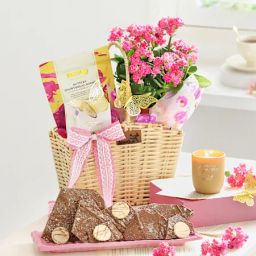 Nature's Goodness-image-53