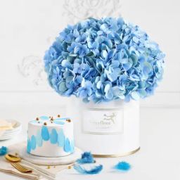 Blue Beauty Bliss-image-14