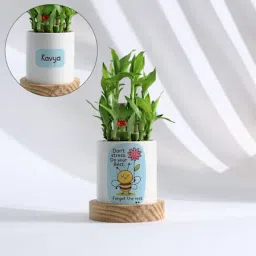 Personalized Positivity Planter With Bamboo Plant-28
