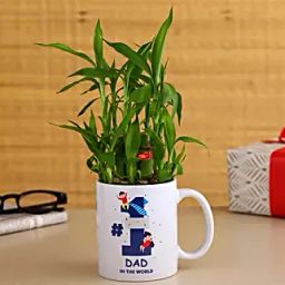 2 Layer Bamboo Plant In No 1 Dad Ceramic Mug-12
