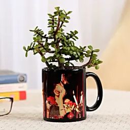 Jade Plant In Black Personalised Mug-image-69