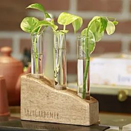 Lazy Gardener Mango Wood Planter-18