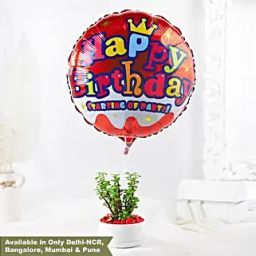 Birthday Wishes Jade Plant White Pot-image-96