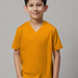 Friskers Boys V-Neck Pure Cotton Slim Fit T-Shirt-48