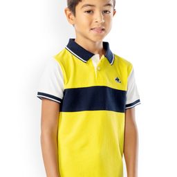 Cherry Crumble Boys Multicolor Colourblocked Rising Polo T-shirt-49