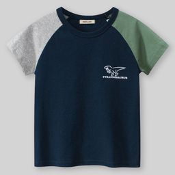 INCLUD Boys Typography Printed Raglan Sleeves Cotton T-shirt-picture-56