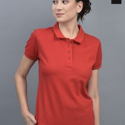 Dollar Pack of 2 Polo Collar Cotton T-shirt-image-71