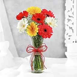 Mixed Brilliance Gerbera Vase-image-11