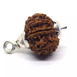 gemstone gallery Natural 9 Mukhi Rudraksha with Free 5 Mukhi Rudraksha Nepali Nav Mukhi Rudraksha Original Certified Nine Mukhi Rudraksha with Capped 9 Face Rudraksh For Puja Purpose नव मुखी रुद्राक्ष image 3