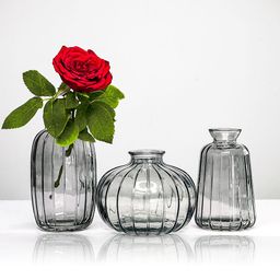Ekhasa Black & Transparent 3 Pieces Glass Bud Flower Vases-14
