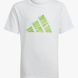 ADIDAS Kids Boys JB HIIT GFX Printed Training T-Shirt-image-26