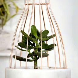 POSH-N-PLUSH White Marble With Copper Web Planter-image-58