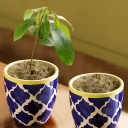 ExclusiveLane Set of 2 Blue The Two Morocco Pod Hand-Painted Ceramic Table Planters-29