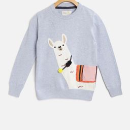 Cherry Crumble Boys Sky Blue Intarsia Knitting Llama Sweater-image-76