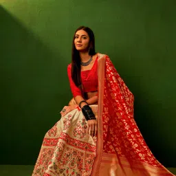 Sangria Woven Design Silk Semi-Stitched Lehenga Choli-picture-29