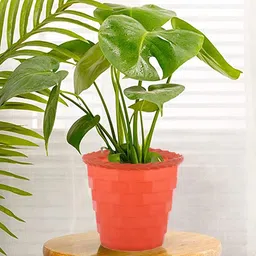 Kuber Industries Pack of 2 Textured Brick Flower Pot-image-10