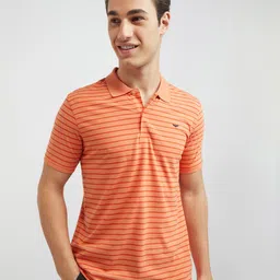 Park Avenue Men Striped Polo Collar Slim Fit T-shirt-image-25