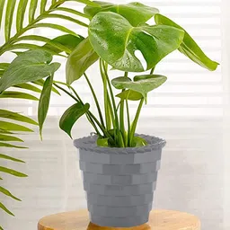 Kuber Industries Pack of 2 Textured Brick Flower Pot-image-69